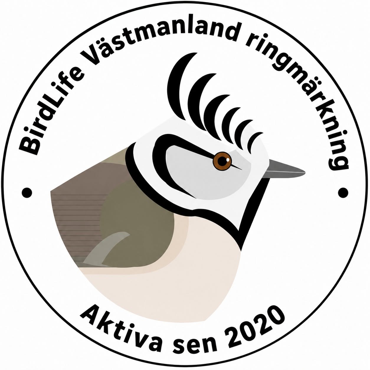 Ringmärkning